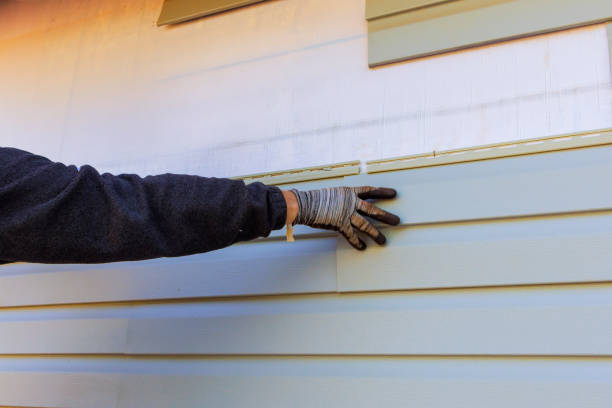 Affordable Siding Repair and Maintenance Services in Belvidere, IL